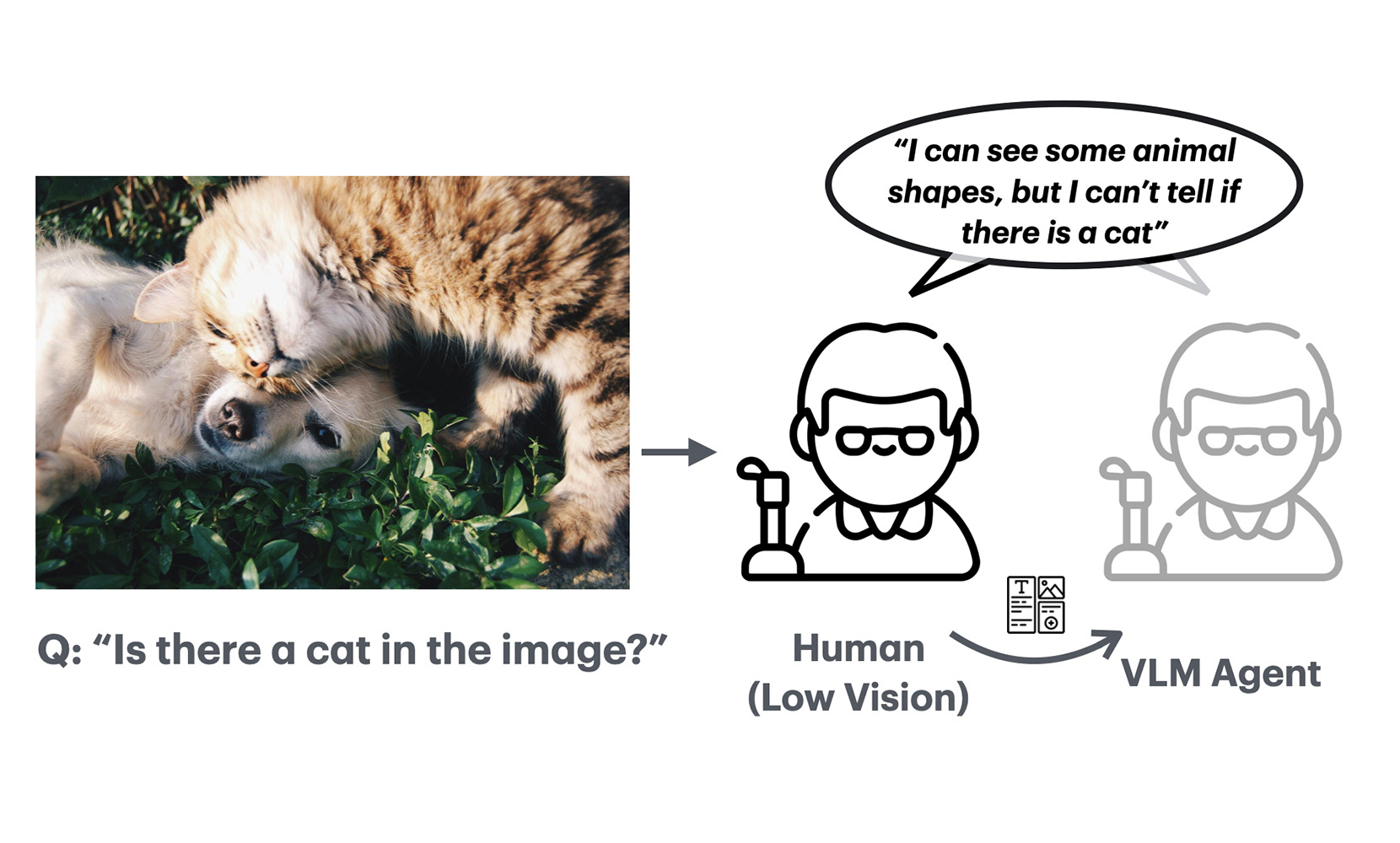 An illustration showing a photo of a fluffy orange-and-brown tabby cat cuddling with a light cream-colored dog on the grass. Below the photo, there is a question, 'Is there a cat in the image?' with an arrow pointing to both a human with low vision and a VLM agent. Both the human with low vision and the VLM agent respond, 'I can see some animal shapes, but I can’t tell if there is a cat,' indicating shared visual limitations.